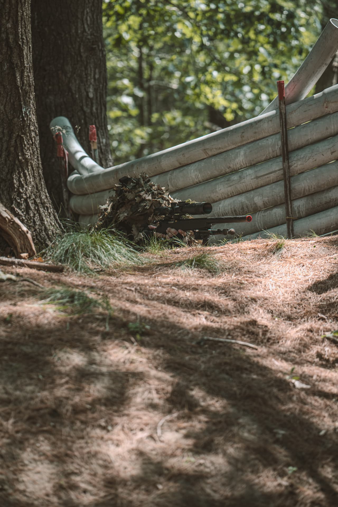 Reign Series event photo