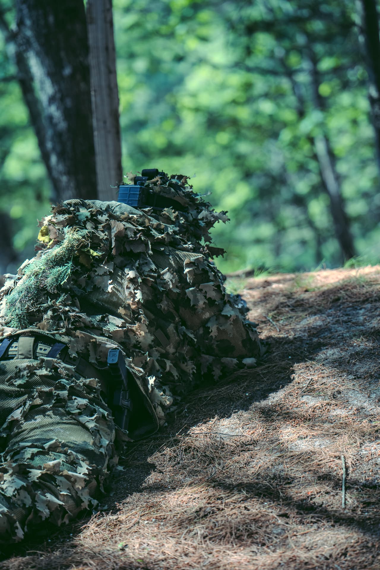 Reign Series event photo