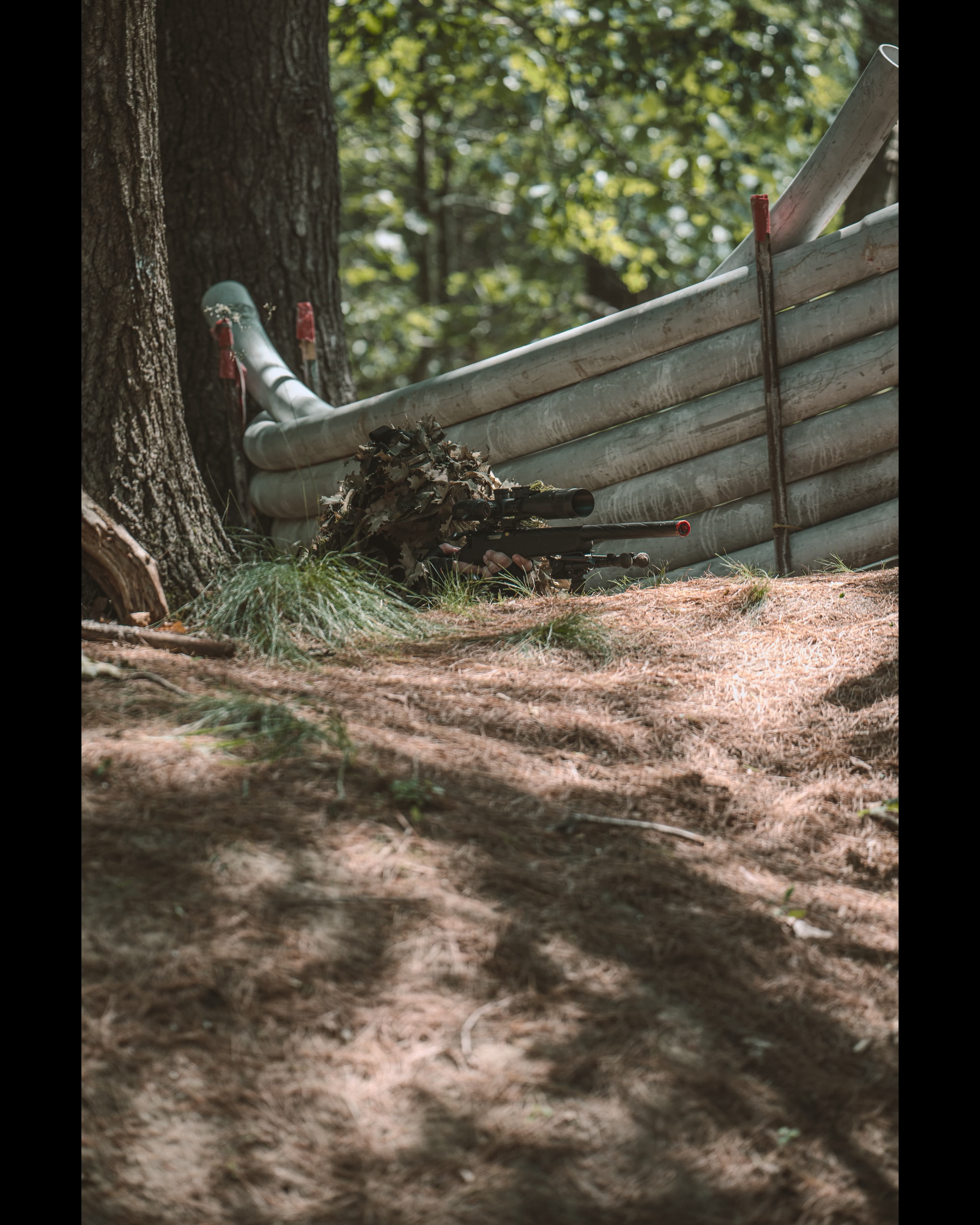 Reign Series event photo